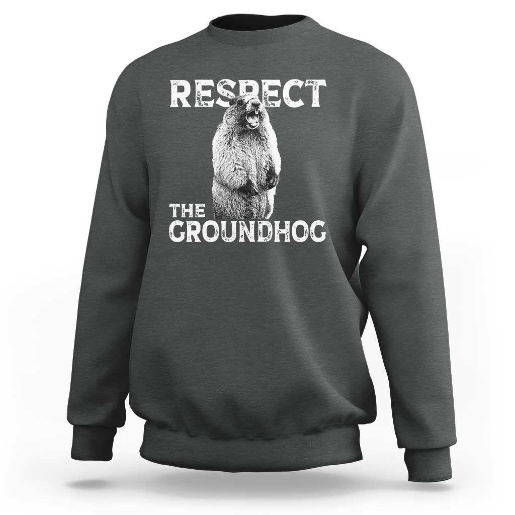 Funny Respect The Groundhog Sweatshirt Screaming Woodchuck Meme Groundhog Day - Wonder Print Shop