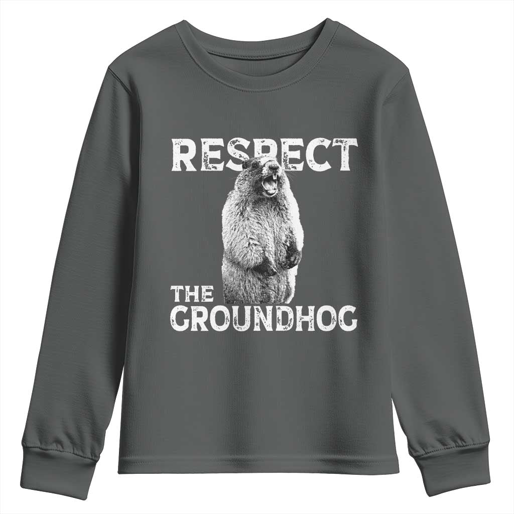 Funny Respect The Groundhog Youth Sweatshirt Screaming Woodchuck Meme Groundhog Day - Wonder Print Shop