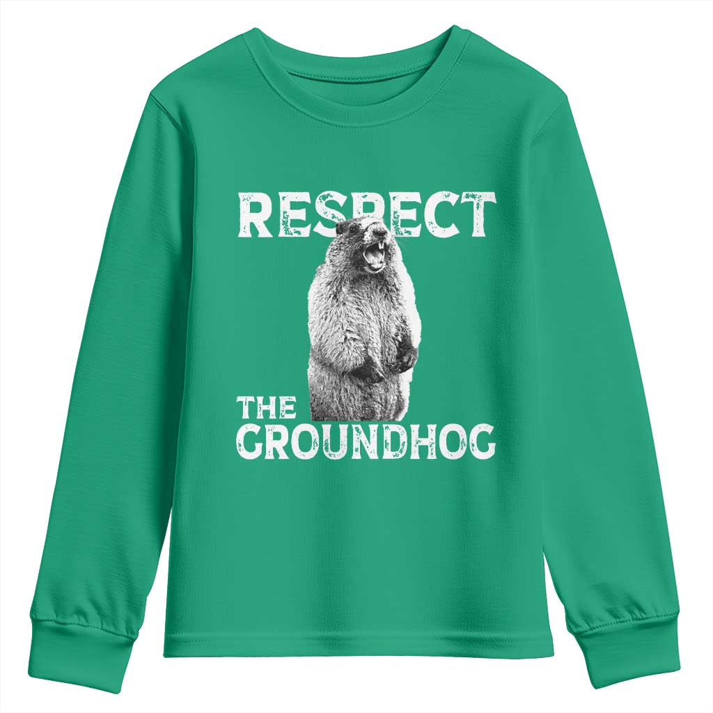 Funny Respect The Groundhog Youth Sweatshirt Screaming Woodchuck Meme Groundhog Day - Wonder Print Shop