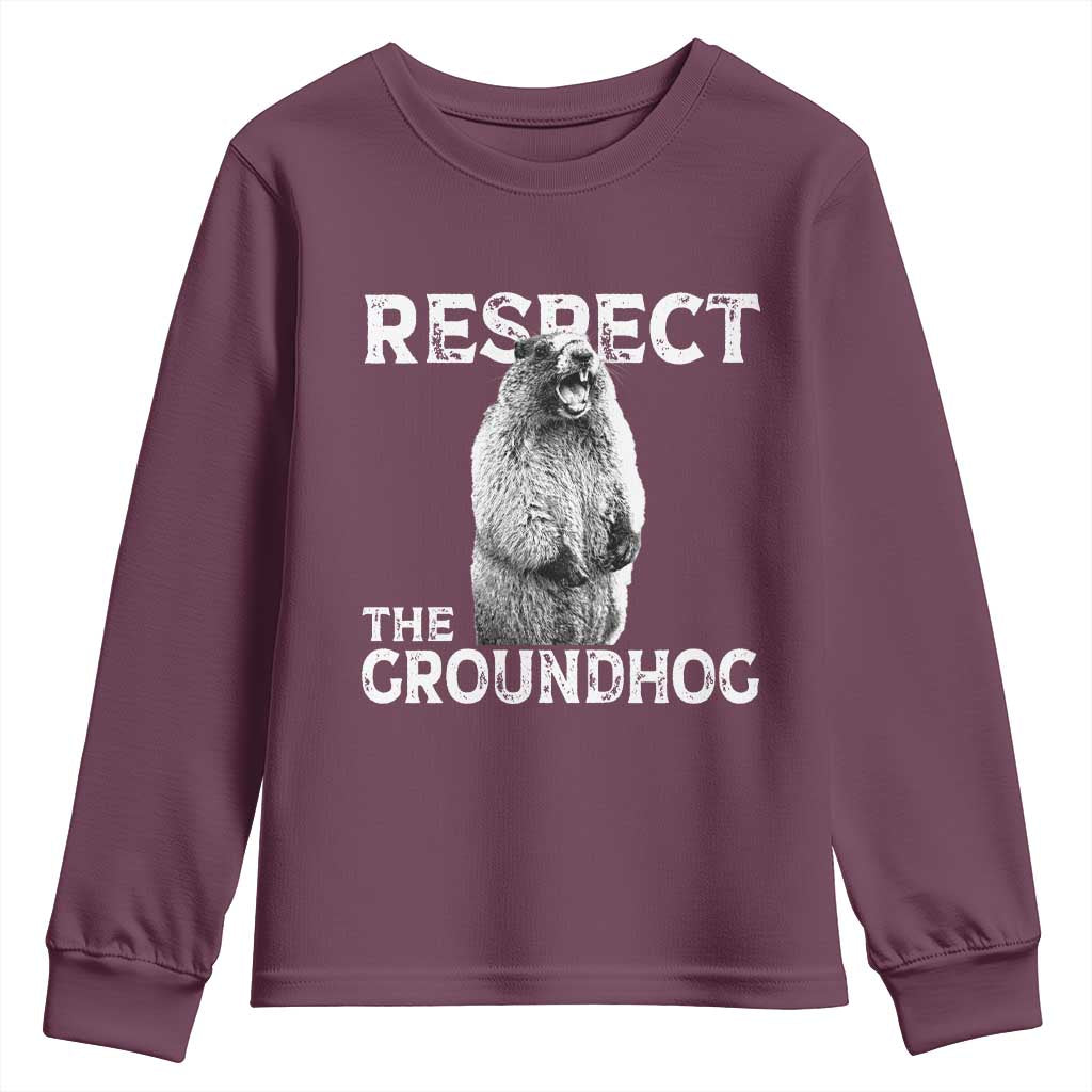 Funny Respect The Groundhog Youth Sweatshirt Screaming Woodchuck Meme Groundhog Day - Wonder Print Shop
