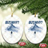 Penguin But Why Ceramic Ornament Funny Penguin Snowy Mountain Meme