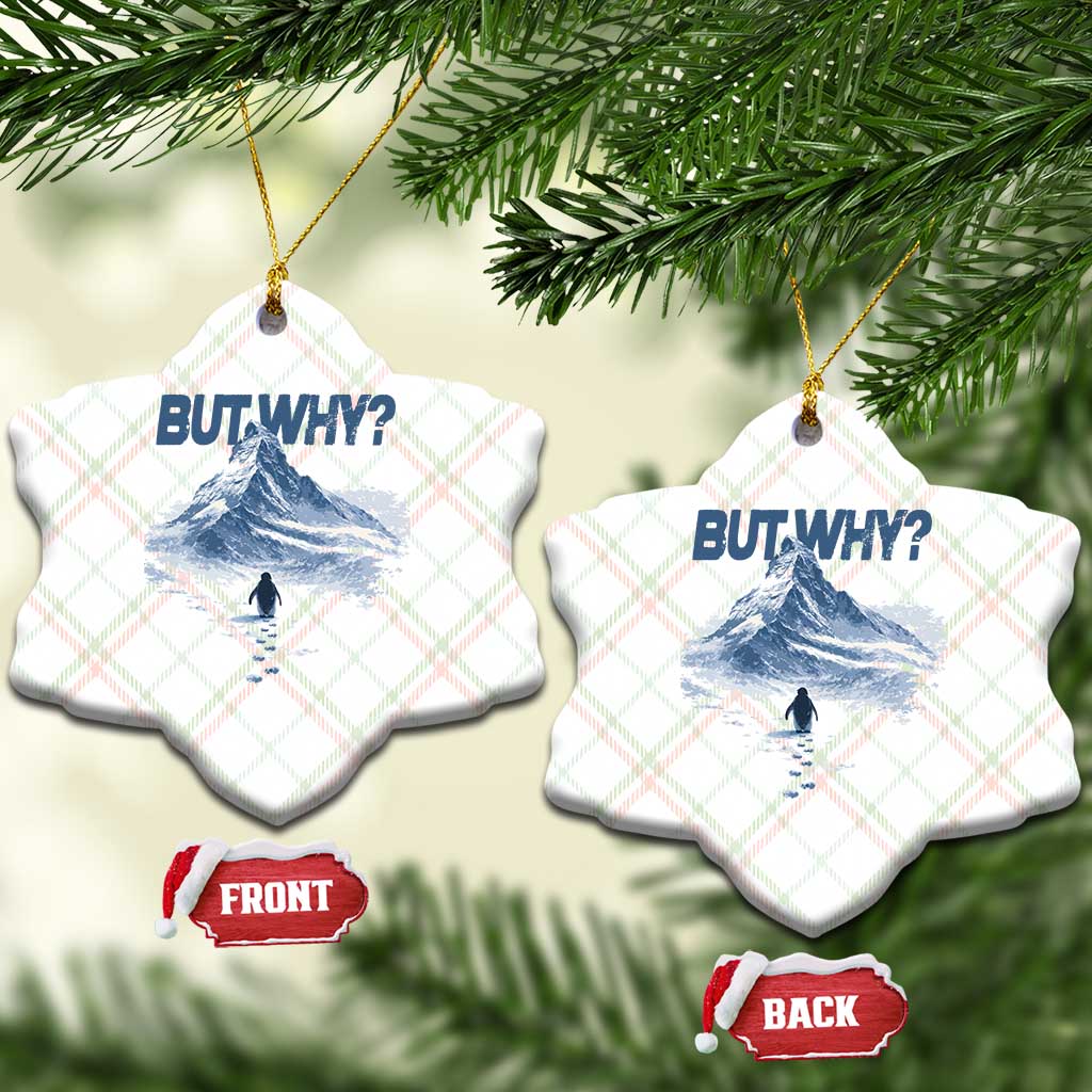 Penguin But Why Ceramic Ornament Funny Penguin Snowy Mountain Meme