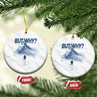 Penguin But Why Ceramic Ornament Funny Penguin Snowy Mountain Meme