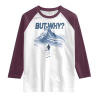 Penguin But Why Raglan Shirt Funny Penguin Snowy Mountain Meme