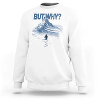 Penguin But Why Sweatshirt Funny Penguin Snowy Mountain Meme