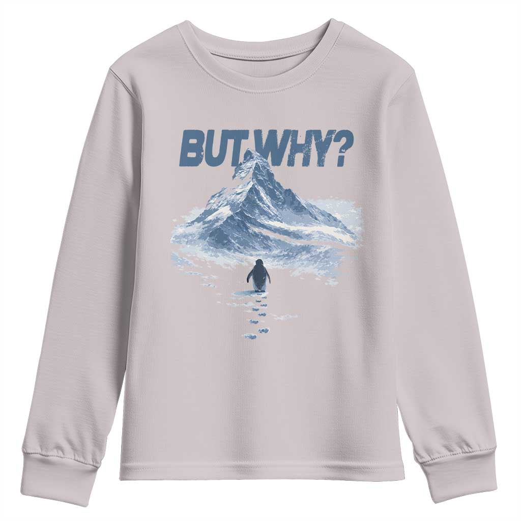 Penguin But Why Youth Sweatshirt Funny Penguin Snowy Mountain Meme
