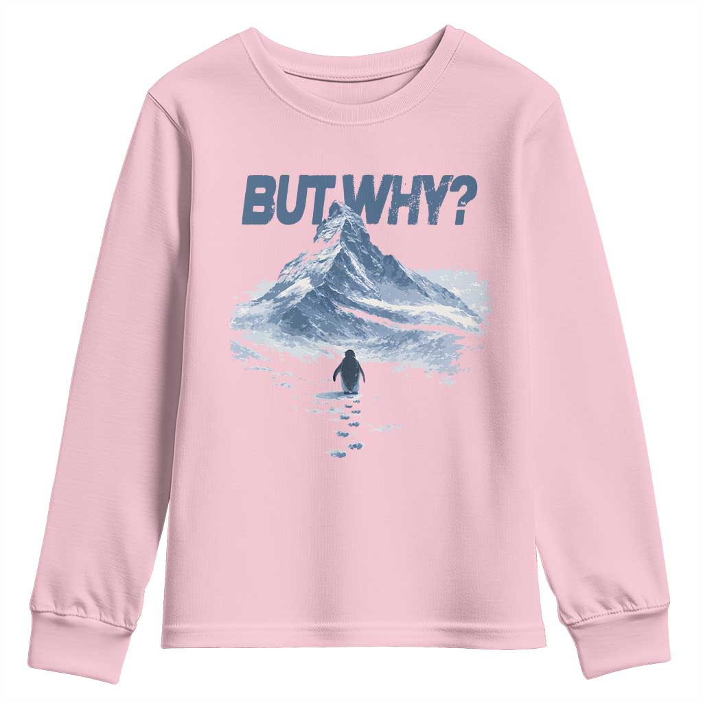 Penguin But Why Youth Sweatshirt Funny Penguin Snowy Mountain Meme