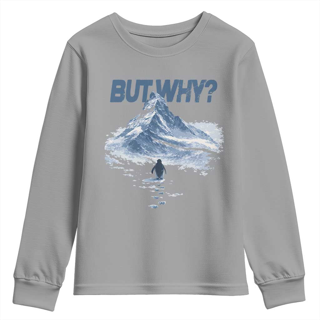 Penguin But Why Youth Sweatshirt Funny Penguin Snowy Mountain Meme