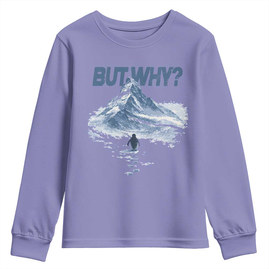 Penguin But Why Youth Sweatshirt Funny Penguin Snowy Mountain Meme