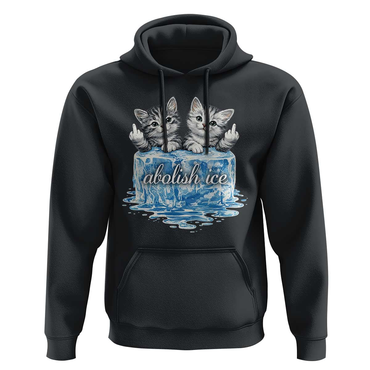 Abolish Ice Hoodie Cute Cat Melting Ice Pro Immigrant