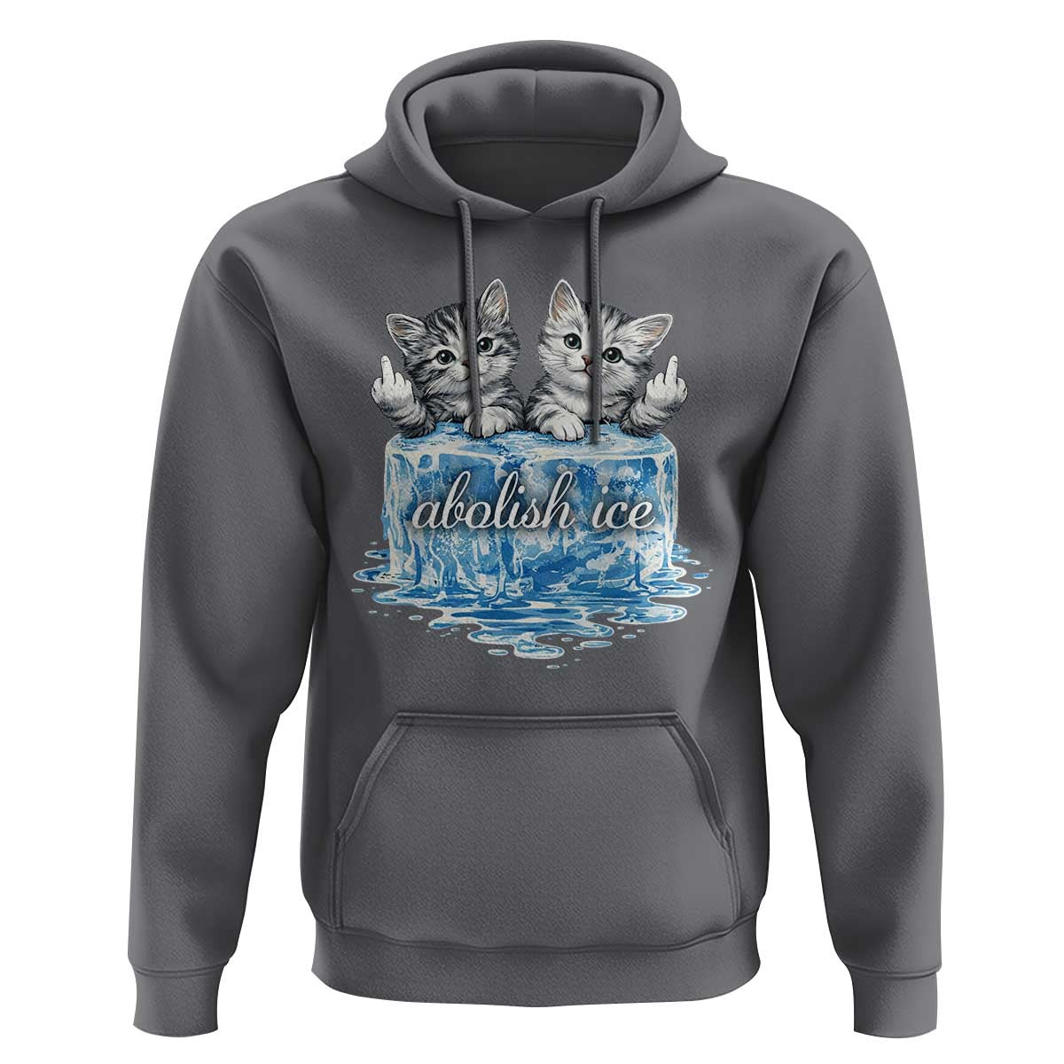 Abolish Ice Hoodie Cute Cat Melting Ice Pro Immigrant
