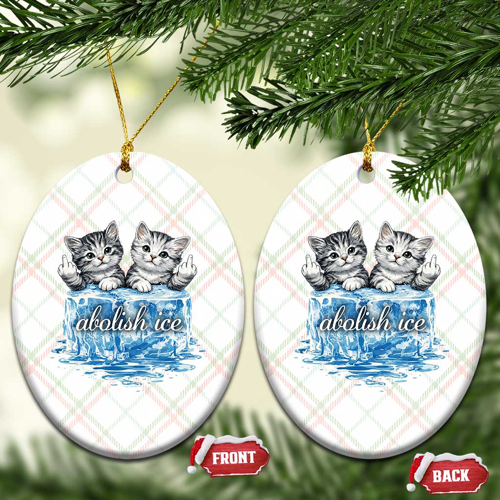 Abolish Ice Ceramic Ornament Cute Cat Melting Ice Pro Immigrant