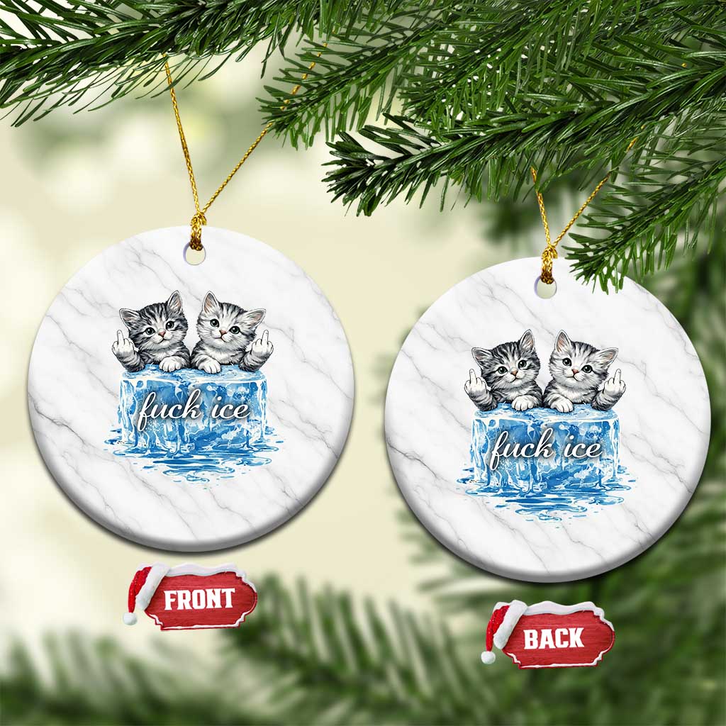 Fck Ice Ceramic Ornament Cute Cat Melting Ice Pro Immigrant