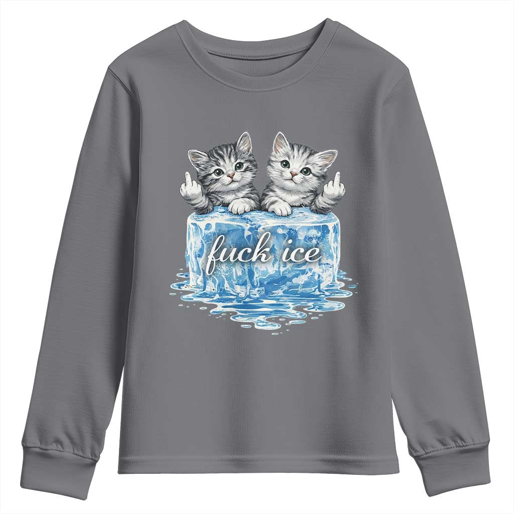 Fck Ice Youth Sweatshirt Cute Cat Melting Ice Pro Immigrant