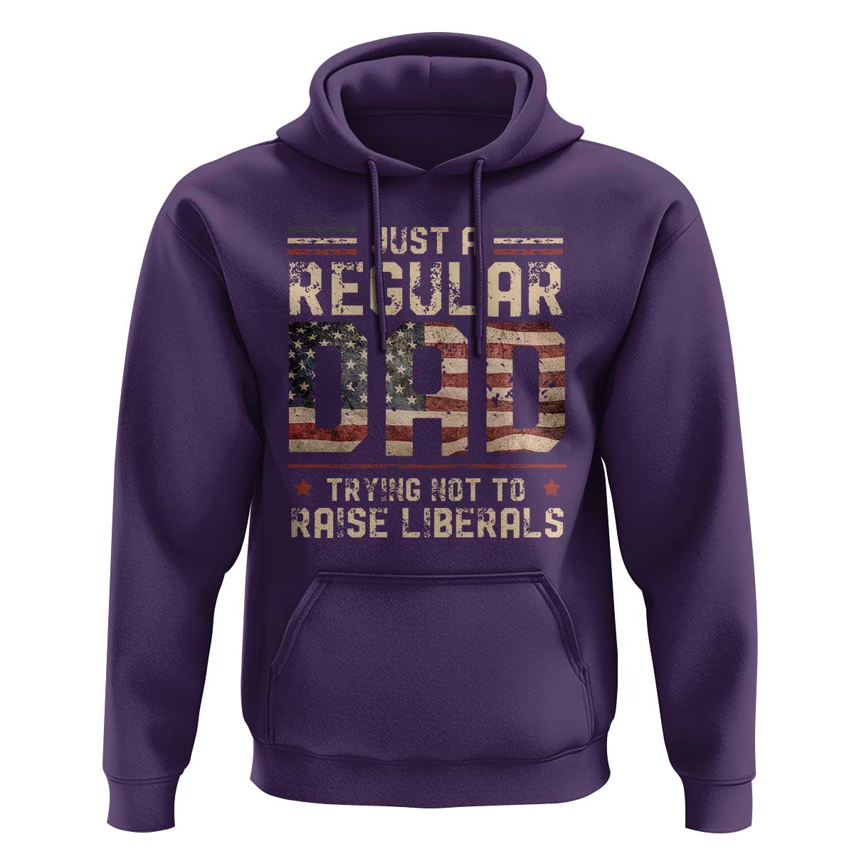 Funny Just A Regular Dad Trying Not To Raise Liberals Hoodie Fathers Day