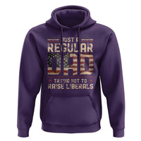 Funny Just A Regular Dad Trying Not To Raise Liberals Hoodie Fathers Day