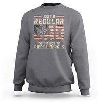 Funny Just A Regular Dad Trying Not To Raise Liberals Sweatshirt Fathers Day