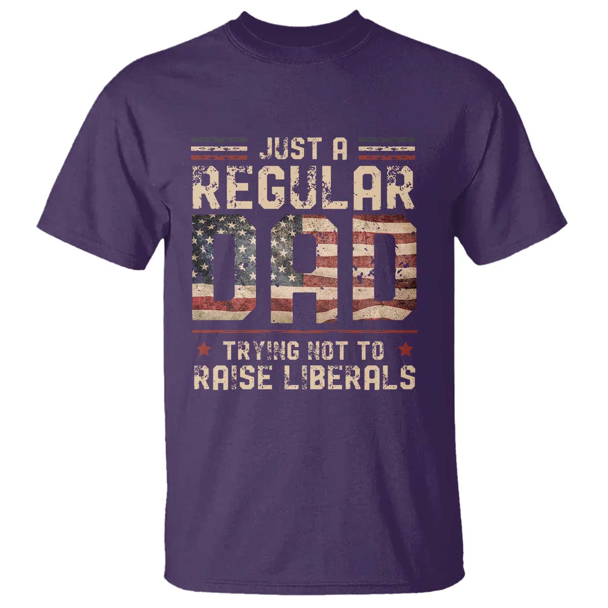 Funny Just A Regular Dad Trying Not To Raise Liberals T Shirt Fathers Day