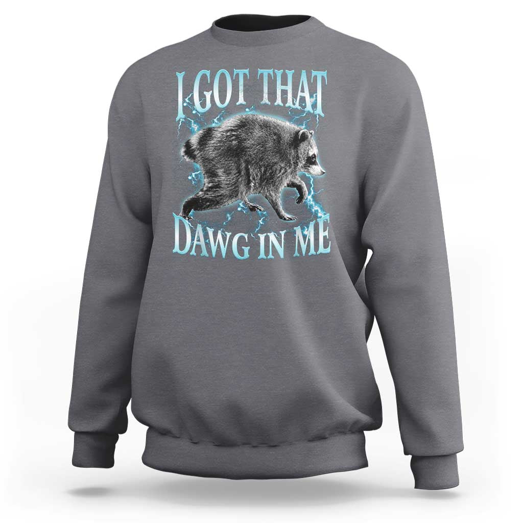 Funny Jimothy The Raccoon Sweatshirt I Got That Dawg In Me Bootleg Art