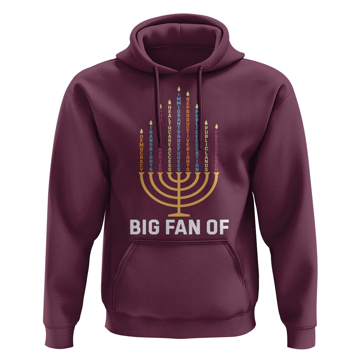 Hanukkah Human Rights Hoodie Big Fan Of  Democracy Immigrants And Refugees - Wonder Print Shop