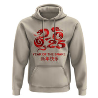 Year Of The Snake Lunar Chinese New Year 2025 Hoodie