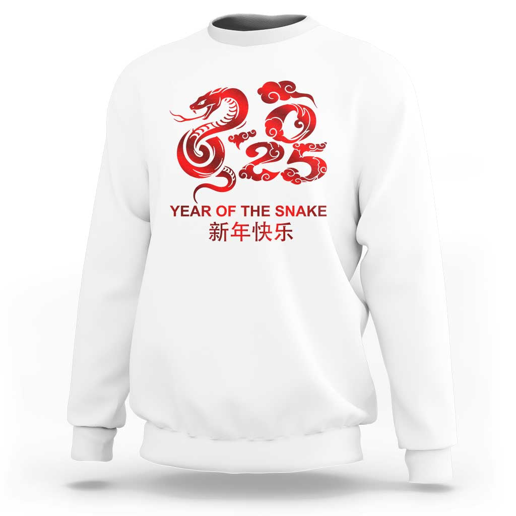 Year Of The Snake Lunar Chinese New Year 2025 Sweatshirt
