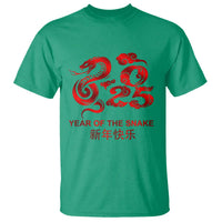 Year Of The Snake Lunar Chinese New Year 2025 T Shirt