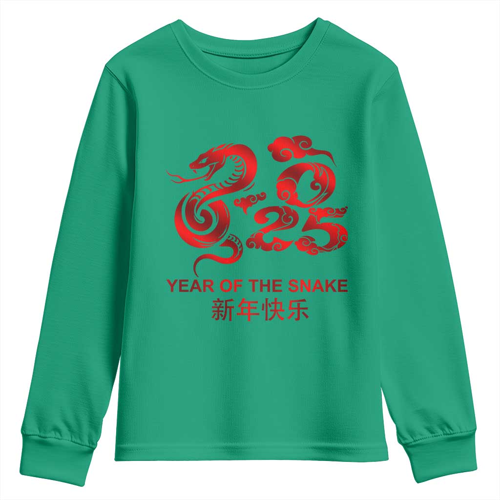 Year Of The Snake Lunar Chinese New Year 2025 Youth Sweatshirt