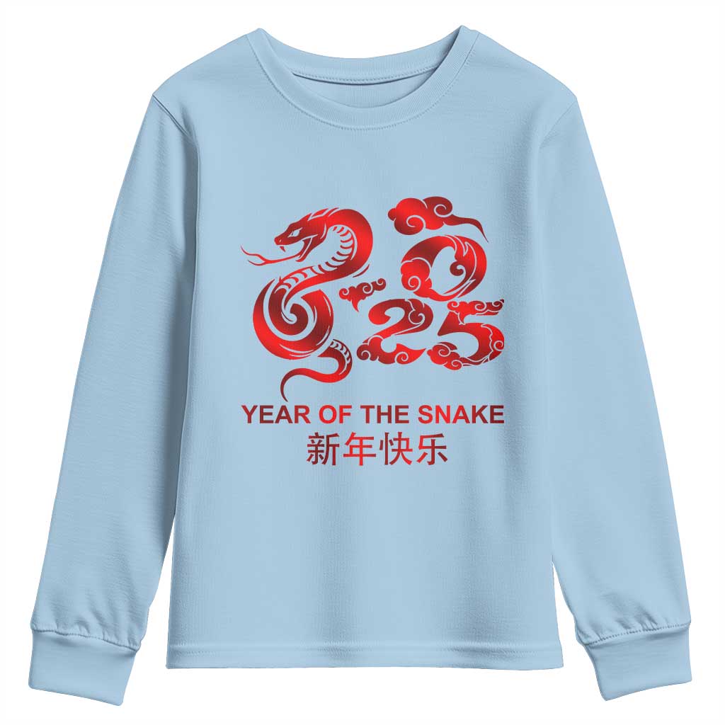 Year Of The Snake Lunar Chinese New Year 2025 Youth Sweatshirt