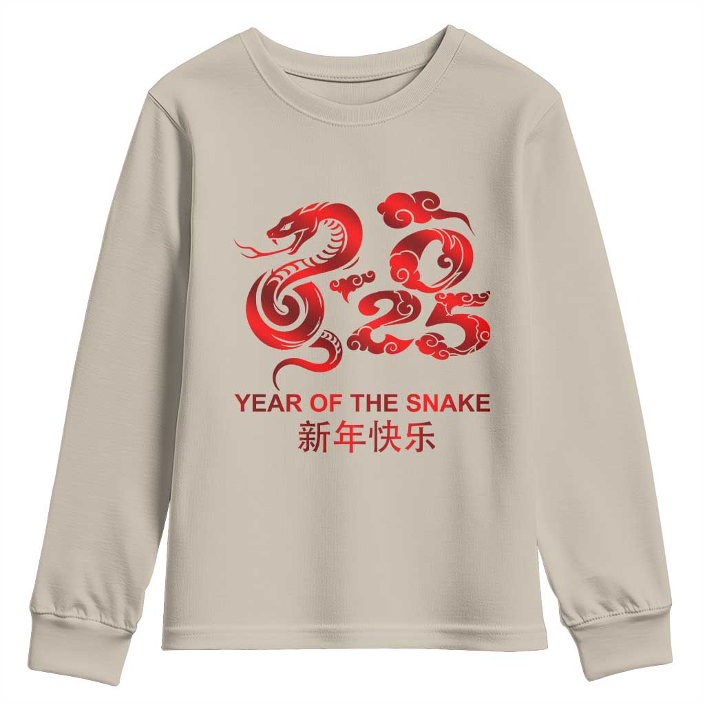 Year Of The Snake Lunar Chinese New Year 2025 Youth Sweatshirt