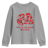 Year Of The Snake Lunar Chinese New Year 2025 Youth Sweatshirt
