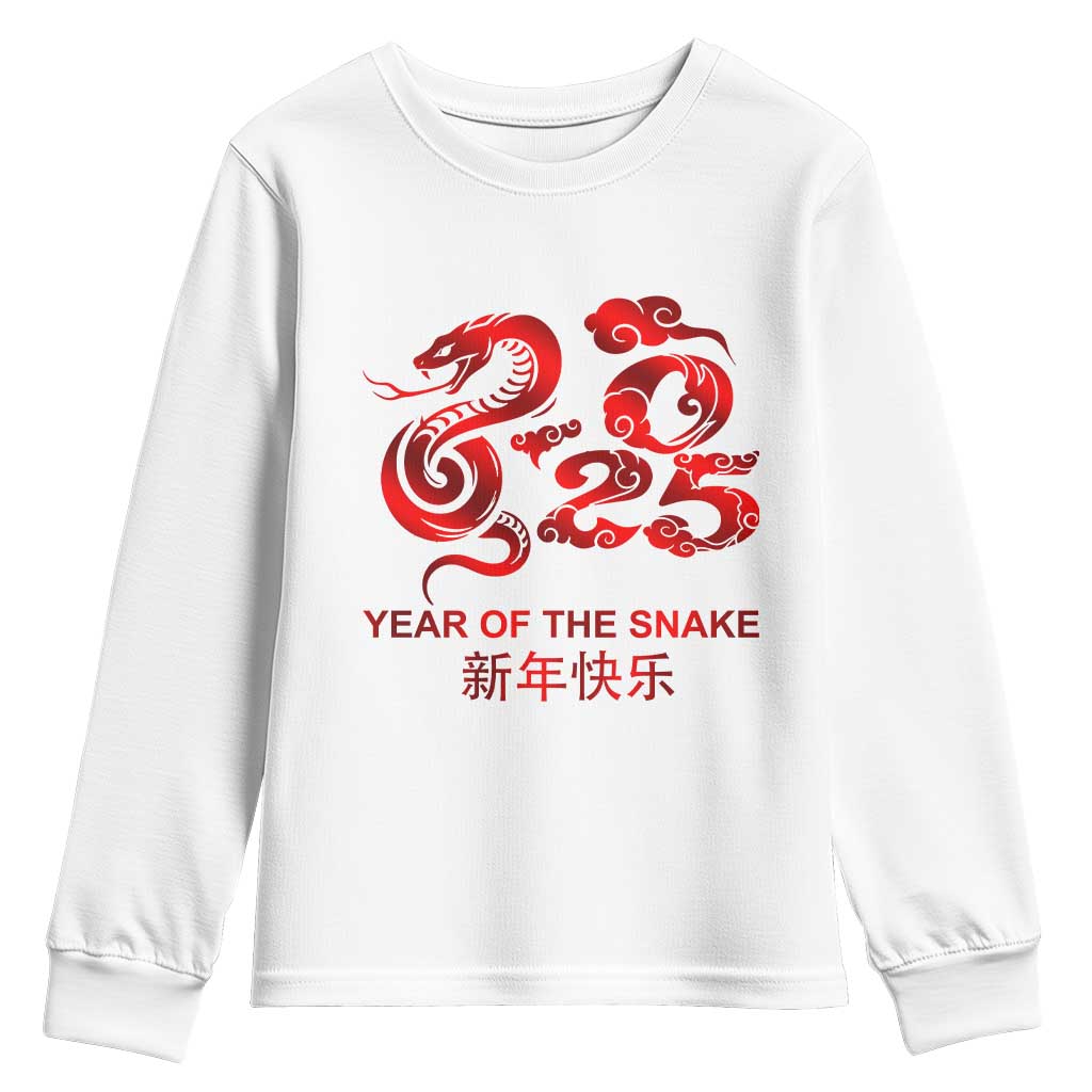 Year Of The Snake Lunar Chinese New Year 2025 Youth Sweatshirt