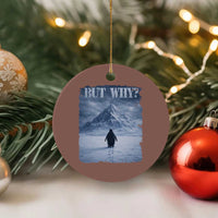 Nihilist Penguin But Why Ceramic Ornament Snow Mountains Motivational Penguin Meme