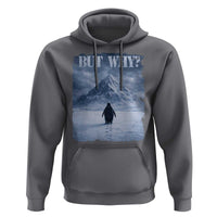 Nihilist Penguin But Why Hoodie Snow Mountains Motivational Penguin Meme