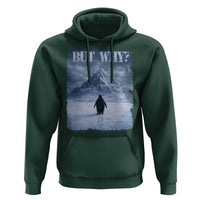 Nihilist Penguin But Why Hoodie Snow Mountains Motivational Penguin Meme