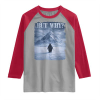 Nihilist Penguin But Why Raglan Shirt Snow Mountains Motivational Penguin Meme