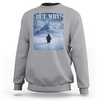 Nihilist Penguin But Why Sweatshirt Snow Mountains Motivational Penguin Meme