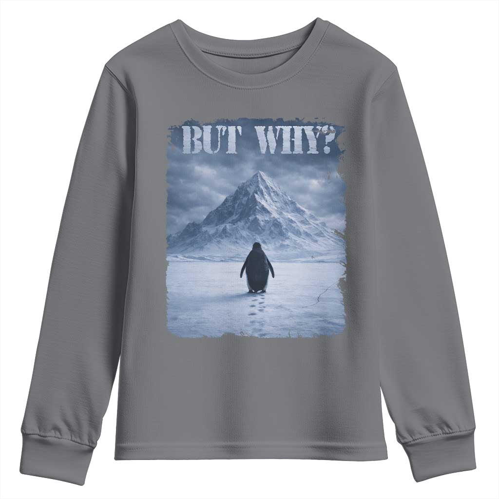 Nihilist Penguin But Why Youth Sweatshirt Snow Mountains Motivational Penguin Meme