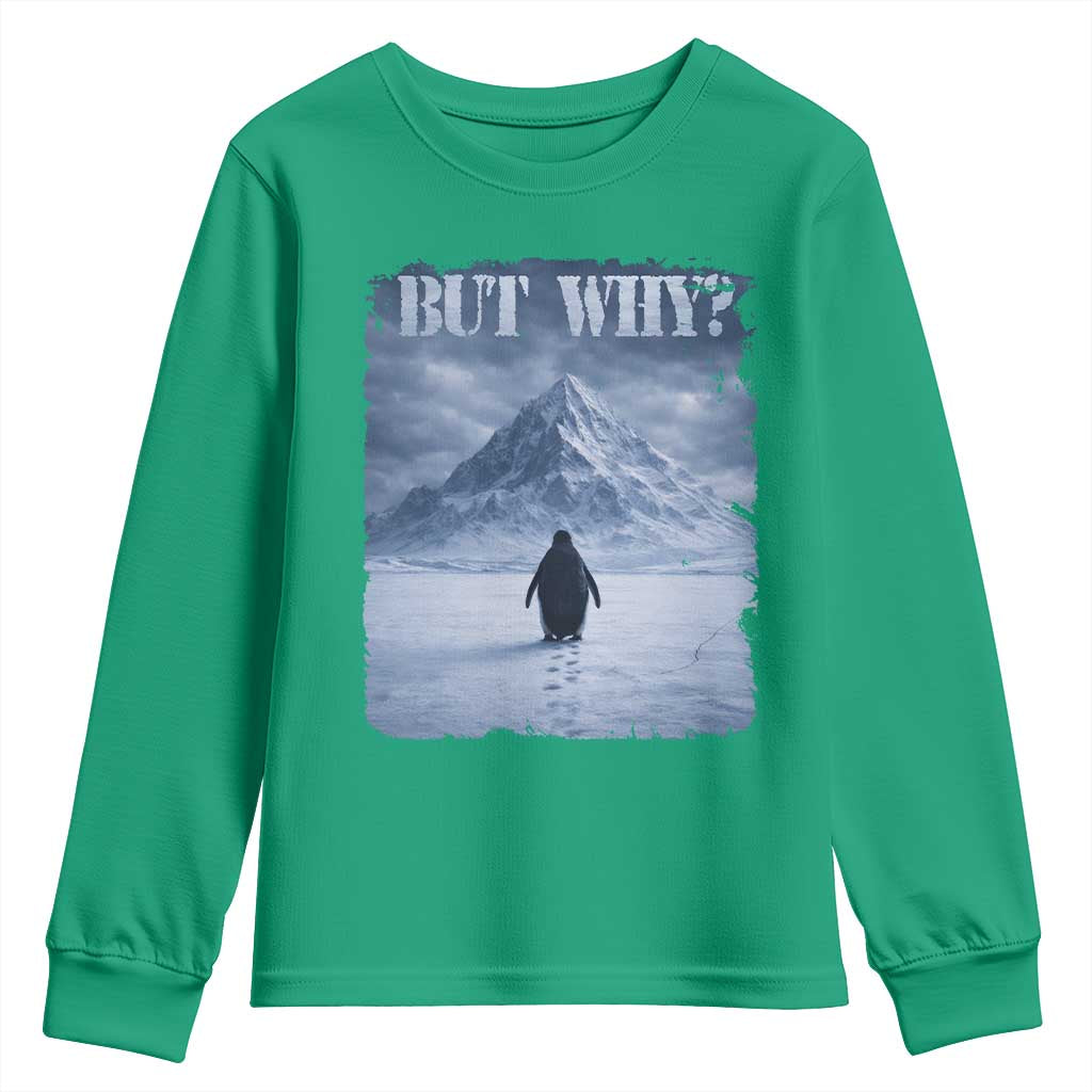 Nihilist Penguin But Why Youth Sweatshirt Snow Mountains Motivational Penguin Meme