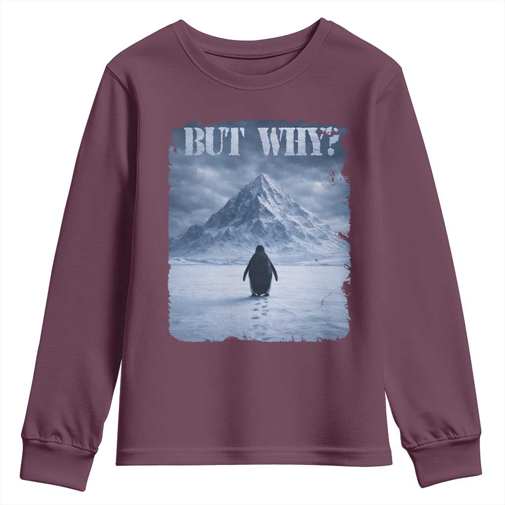 Nihilist Penguin But Why Youth Sweatshirt Snow Mountains Motivational Penguin Meme