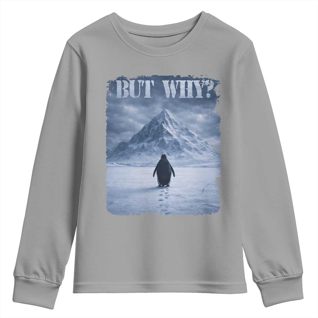 Nihilist Penguin But Why Youth Sweatshirt Snow Mountains Motivational Penguin Meme