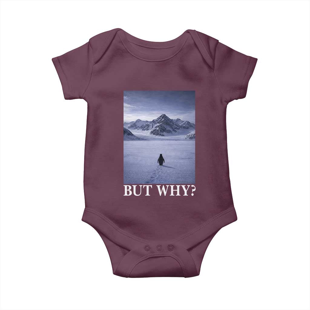 Nihilist Penguin But Why Baby Onesie Lone Penguin Walking Toward Mountain Meme