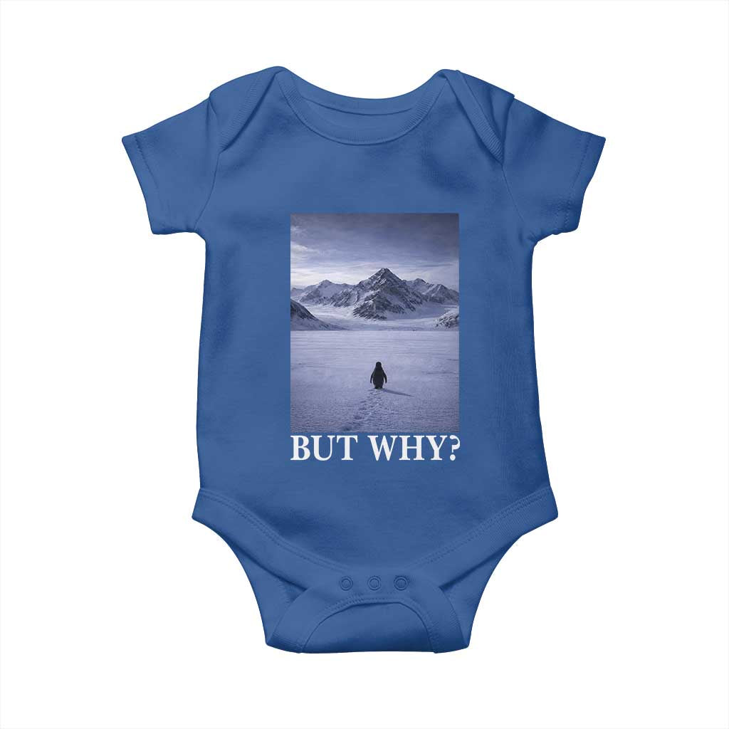 Nihilist Penguin But Why Baby Onesie Lone Penguin Walking Toward Mountain Meme