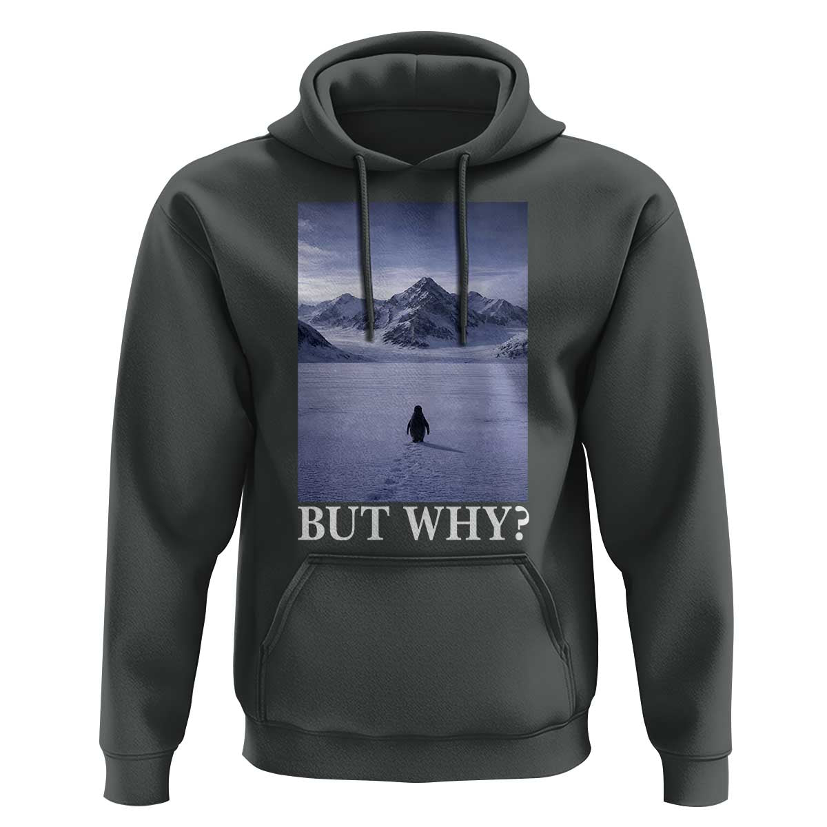 Nihilist Penguin But Why Hoodie Lone Penguin Walking Toward Mountain Meme
