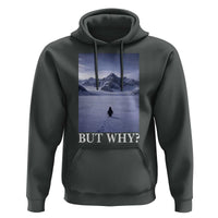 Nihilist Penguin But Why Hoodie Lone Penguin Walking Toward Mountain Meme
