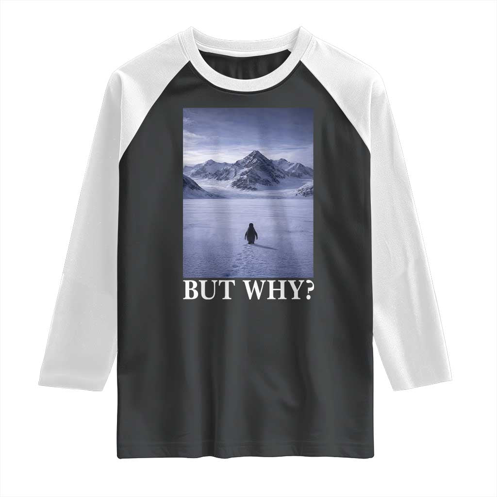 Nihilist Penguin But Why Raglan Shirt Lone Penguin Walking Toward Mountain Meme