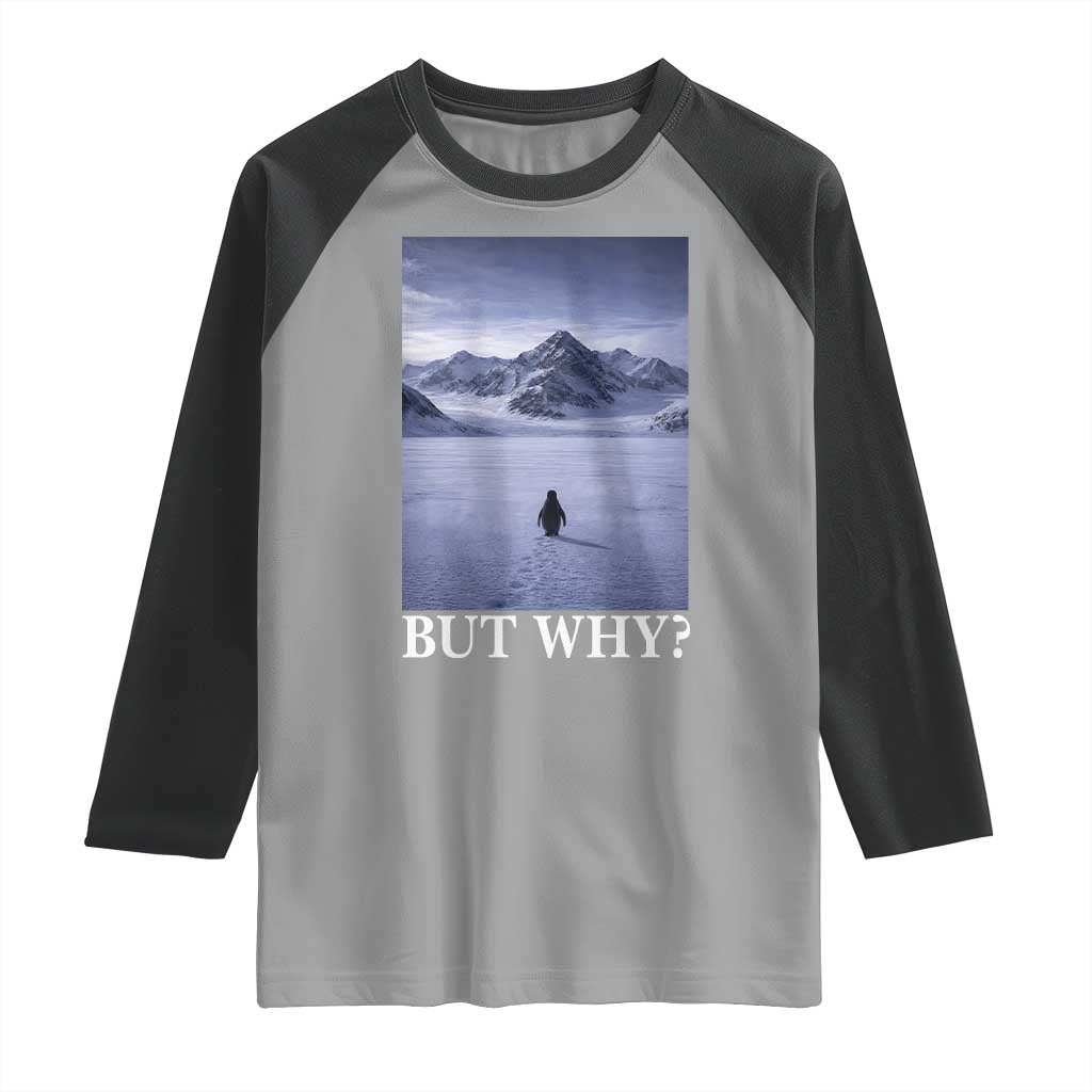 Nihilist Penguin But Why Raglan Shirt Lone Penguin Walking Toward Mountain Meme