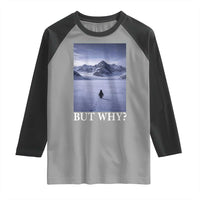 Nihilist Penguin But Why Raglan Shirt Lone Penguin Walking Toward Mountain Meme