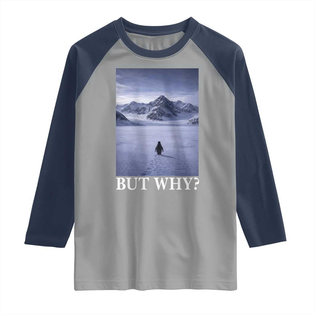 Nihilist Penguin But Why Raglan Shirt Lone Penguin Walking Toward Mountain Meme