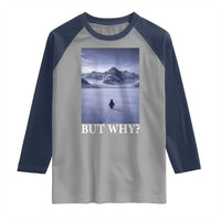 Nihilist Penguin But Why Raglan Shirt Lone Penguin Walking Toward Mountain Meme